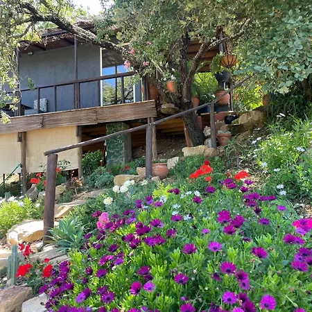 Alentejo Mountain Private Pool House Bicas