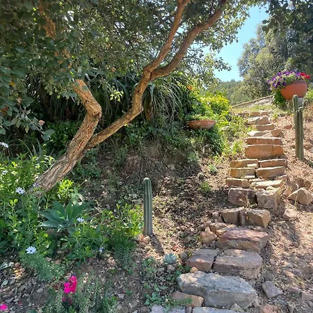 Alentejo Mountain Private Pool House Bicas