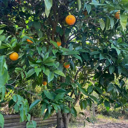 Alentejo Mountain Private Pool House Semesterbostad Bicas