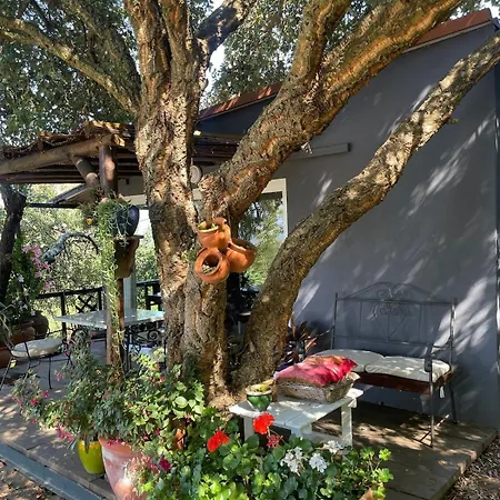 度假居 Alentejo Mountain Private Pool House Bicas