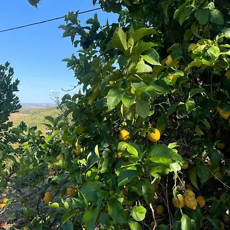 Semesterbostad Alentejo Mountain Private Pool House Bicas