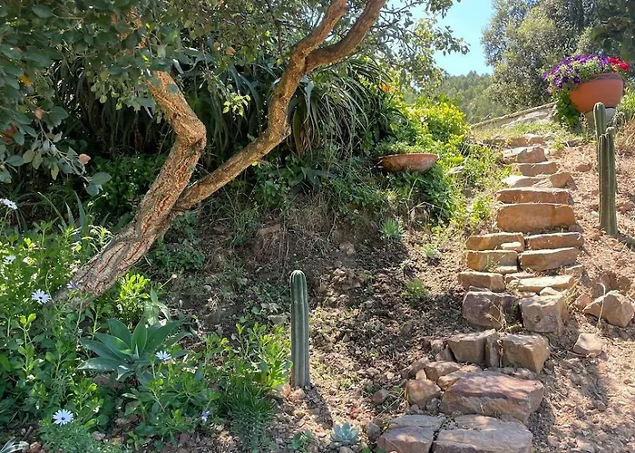 Alentejo Mountain Private Pool House Bicas