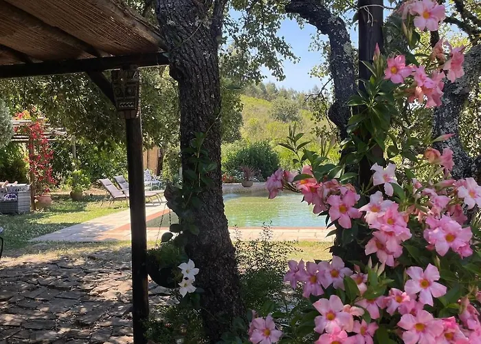 Alentejo Mountain Private Pool House Bicas