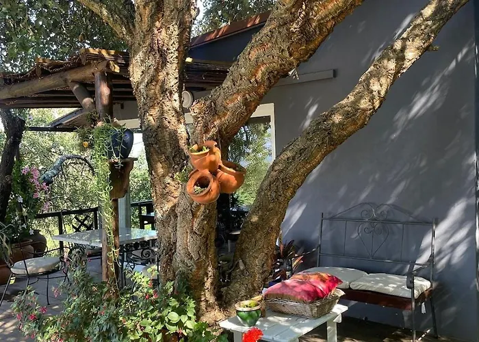 بيت للعطل Alentejo Mountain Private Pool House Bicas